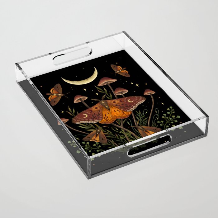 Autumn Light Underwing Acrylic Tray Gallery Image 1