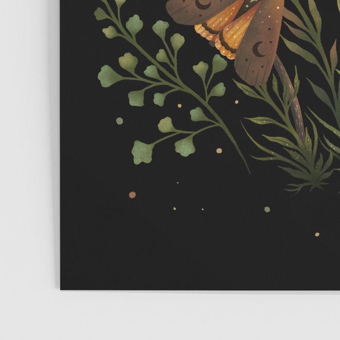 Autumn Light Underwing Poster Gallery Image 3
