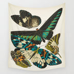 Vintage Butterfly Illustration EA Seguy Papillon Wall Tapestry Gallery Image 4