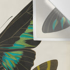 Vintage Butterfly Illustration EA Seguy Papillon Wall Tapestry Gallery Image 3