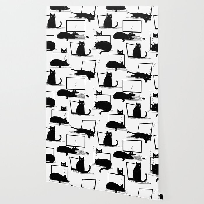 Cats Sitting on Laptops Wallpaper Gallery Image 2