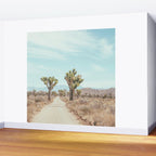 Desert Path - Joshua Tree Landscape, Nature Photography Wall Mural Gallery Image 2