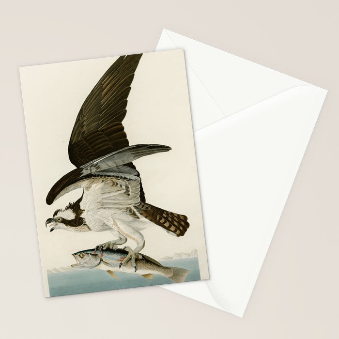 Osprey - John James Audubon's Birds of America Print Stationery Card Gallery Image 2