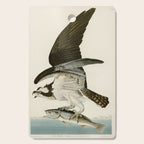 Osprey - John James Audubon's Birds of America Print Cutting Board Gallery Image 1