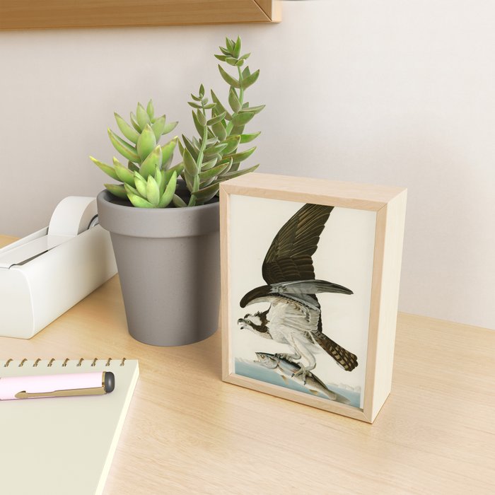 Osprey - John James Audubon's Birds of America Print Mini Art Print Gallery Image 2