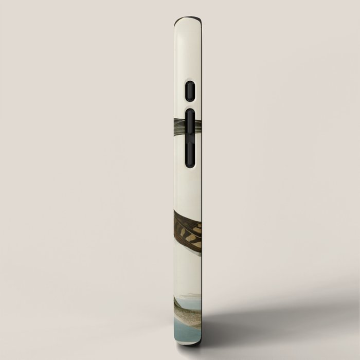 Osprey - John James Audubon's Birds of America Print iPhone Case Gallery Image 2