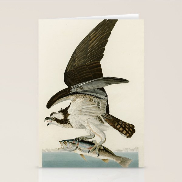 Osprey - John James Audubon's Birds of America Print Stationery Card Gallery Image 2
