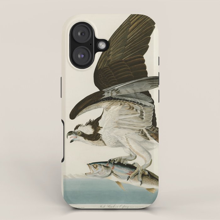 Osprey - John James Audubon's Birds of America Print iPhone Case Gallery Image 1