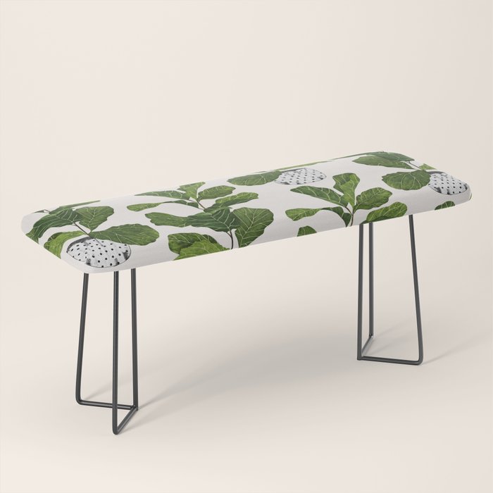 Fiddle leaf fig Tree Bench Gallery Image 1