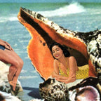 Greetings from Seashells! Coffee Mug Gallery Image 2