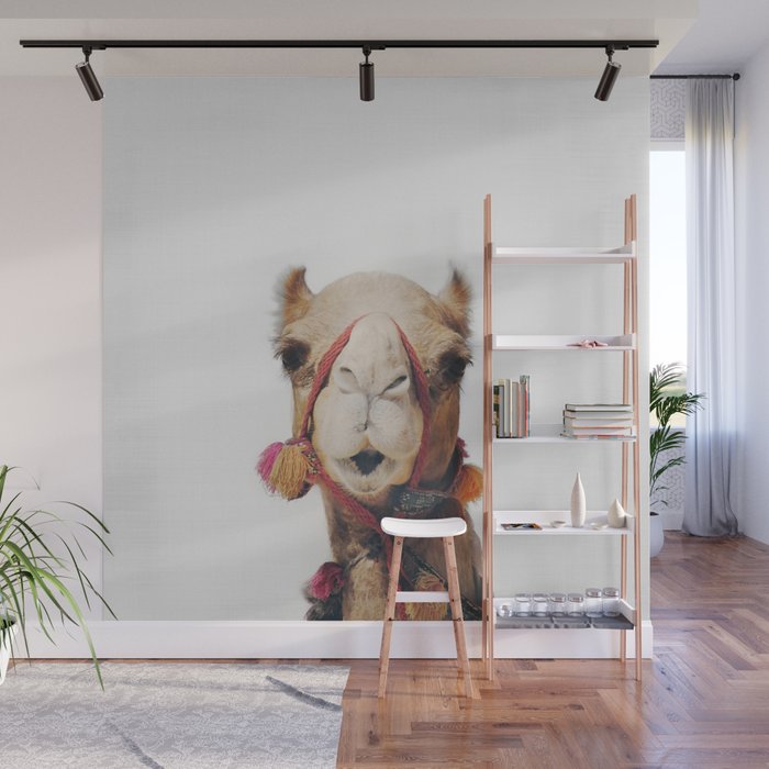 Camel Wall Mural Gallery Image 1