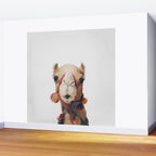 Camel Wall Mural Gallery Image 2