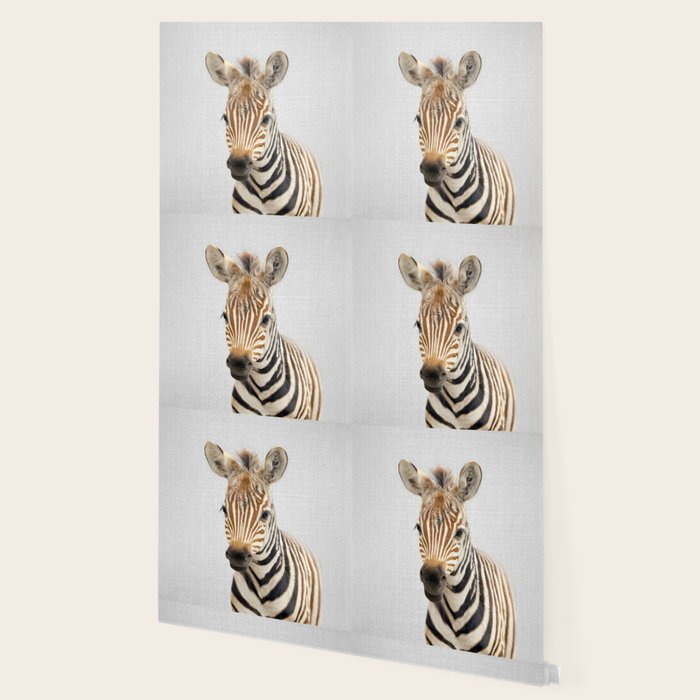 Baby Zebra - Colorful Wallpaper Gallery Image 2