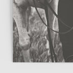 A Cowgirl & Her Horse - Black & White Photo Poster Gallery Image 3