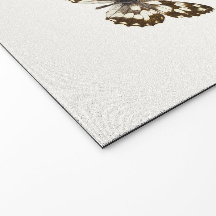 Butterflies in Neutral Colors Welcome Mat Gallery Image 2