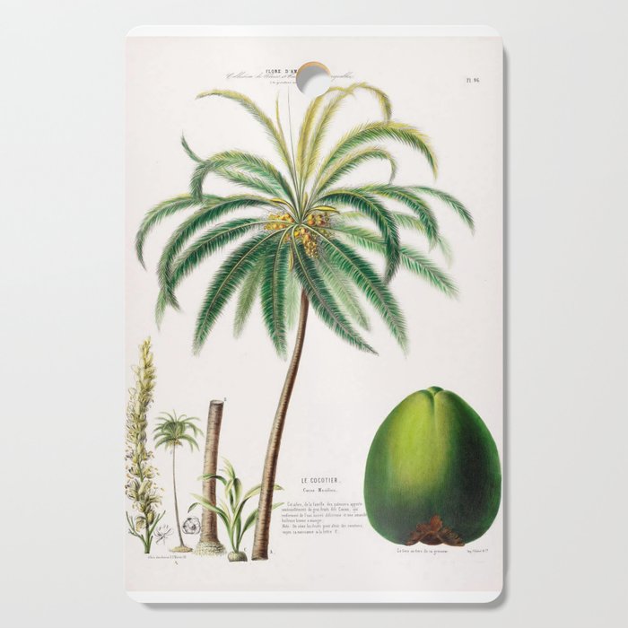 Coconut palm from "Flore dâAmÃ©rique" by Ãtienne Denisse, 1840s Cutting Board Gallery Image 1