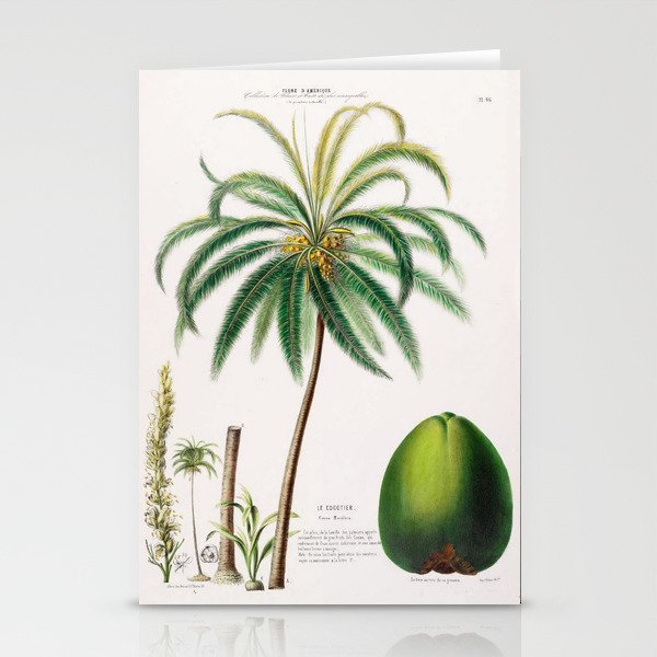 Coconut palm from "Flore dâAmÃ©rique" by Ãtienne Denisse, 1840s Stationery Card Gallery Image 1