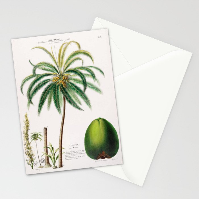 Coconut palm from "Flore dâAmÃ©rique" by Ãtienne Denisse, 1840s Stationery Card Gallery Image 2