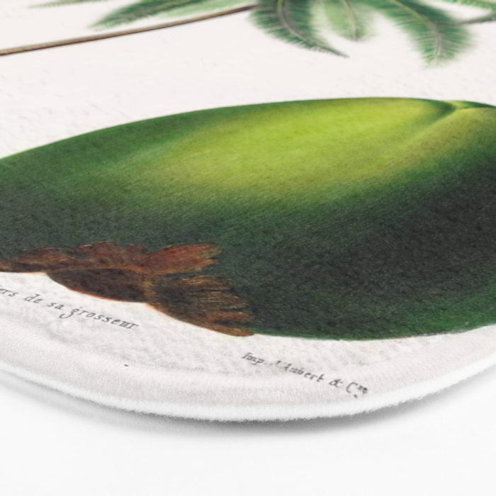 Coconut palm from "Flore dâAmÃ©rique" by Ãtienne Denisse, 1840s Bath Mat Gallery Image 3