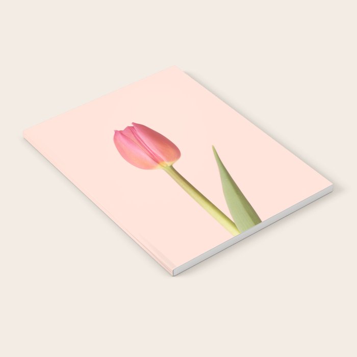 The pink tulip | Floral photography | Flower botanical photograph Notebook Gallery Image 2