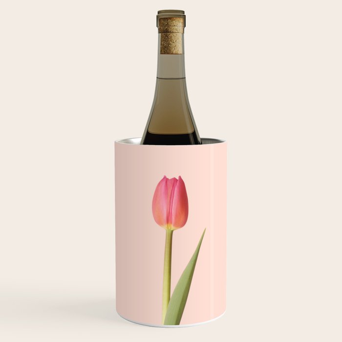 The pink tulip | Floral photography | Flower botanical photograph Wine Chiller Gallery Image 1