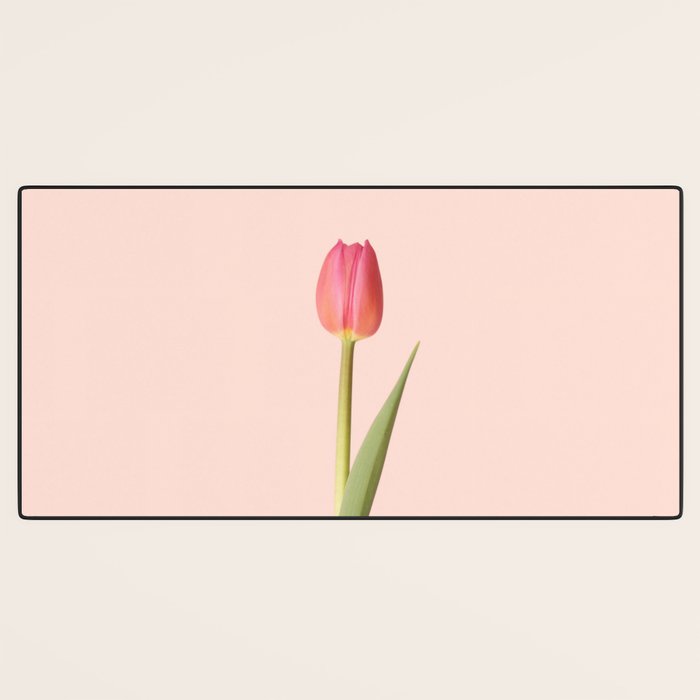 The pink tulip | Floral photography | Flower botanical photograph Desk Mat Gallery Image 3
