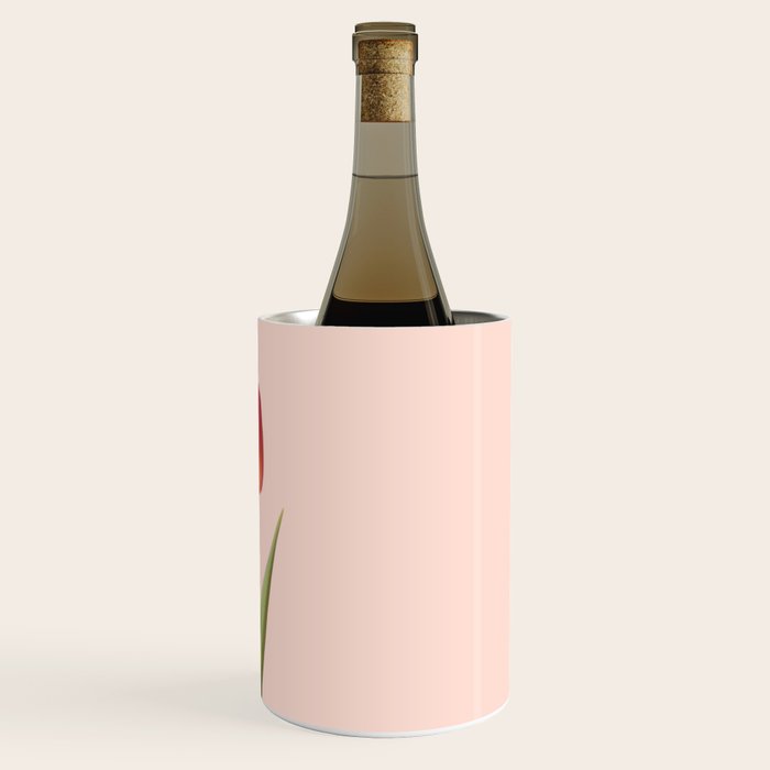 The pink tulip | Floral photography | Flower botanical photograph Wine Chiller Gallery Image 3