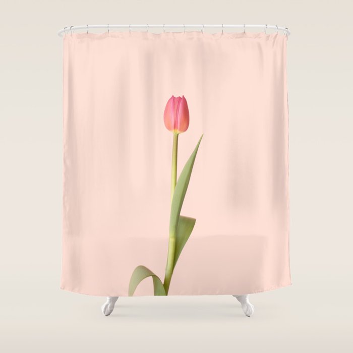 The pink tulip | Floral photography | Flower botanical photograph Shower Curtain Gallery Image 1