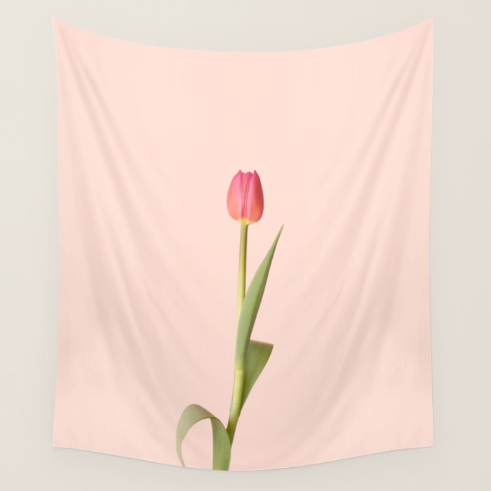 The pink tulip | Floral photography | Flower botanical photograph Wall Tapestry Gallery Image 4