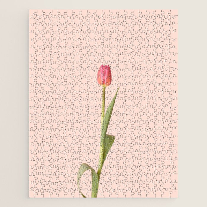 The pink tulip | Floral photography | Flower botanical photograph Jigsaw Puzzle Gallery Image 1