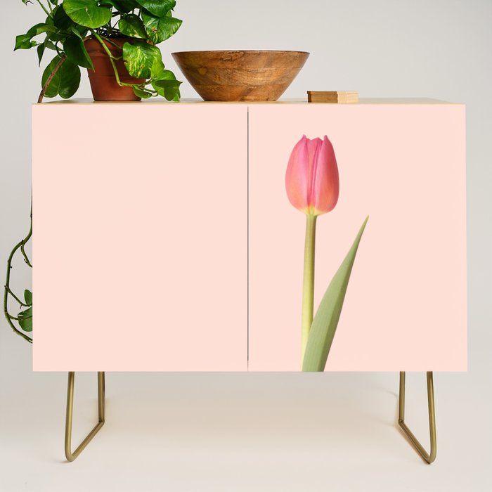 The pink tulip | Floral photography | Flower botanical photograph Credenza Gallery Image 1