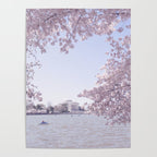 Cherry Blossoms in Washington DC x DC Photography Poster Gallery Image 4