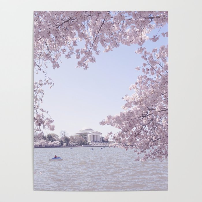 Cherry Blossoms in Washington DC x DC Photography Poster Gallery Image 4