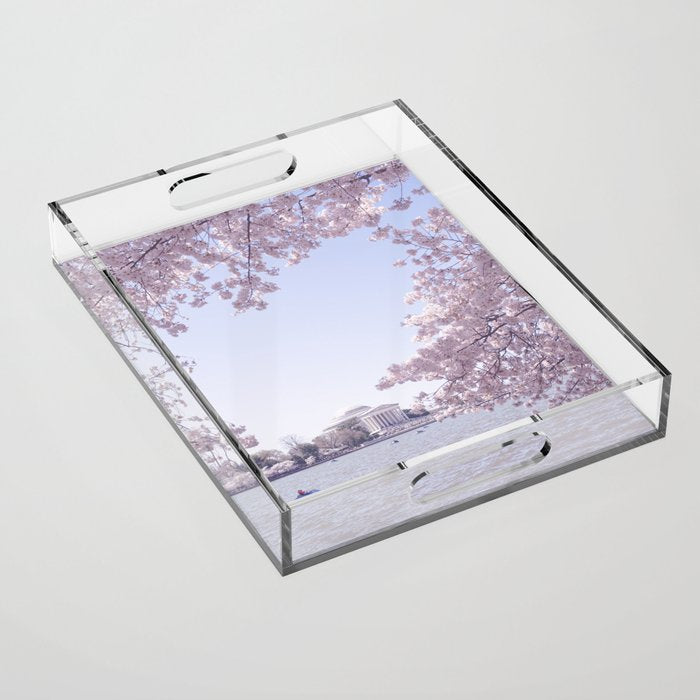 Cherry Blossoms in Washington DC x DC Photography Acrylic Tray Gallery Image 1