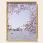 Cherry Blossoms in Washington DC x DC Photography Serving Tray Gallery Image 1