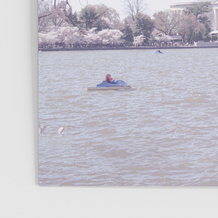 Cherry Blossoms in Washington DC x DC Photography Poster Gallery Image 3