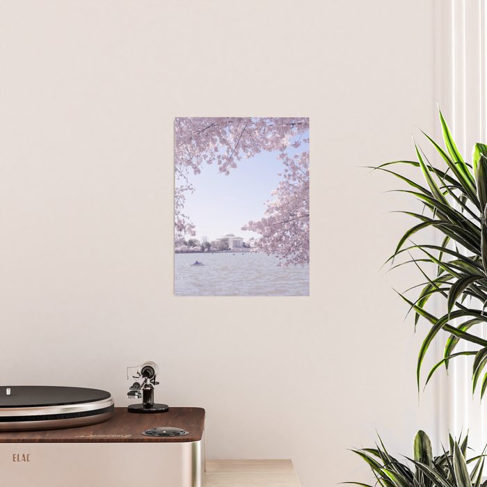 Cherry Blossoms in Washington DC x DC Photography Poster Gallery Image 2
