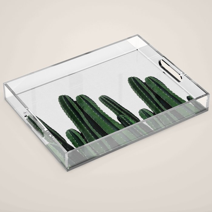 Cactus I Acrylic Tray Gallery Image 1