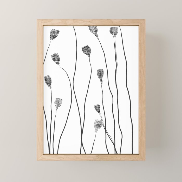 A group of poppy heads Mini Art Print Gallery Image 1