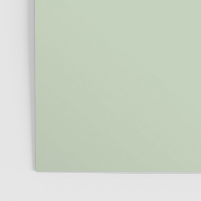 Light Pastel Kitchen Sage Solid Poster Gallery Image 3