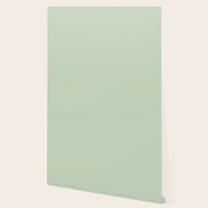 Light Pastel Kitchen Sage Solid Wallpaper Gallery Image 2