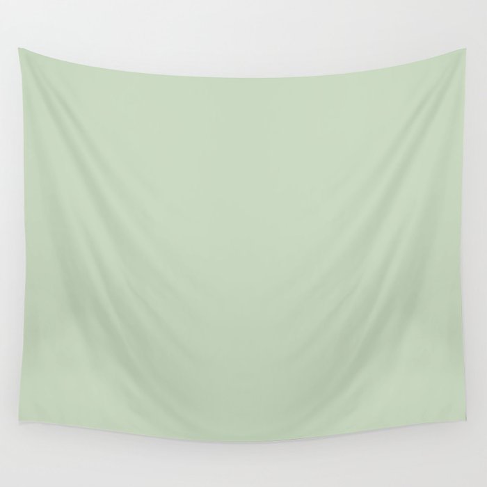 Light Pastel Kitchen Sage Solid Wall Tapestry Gallery Image 1