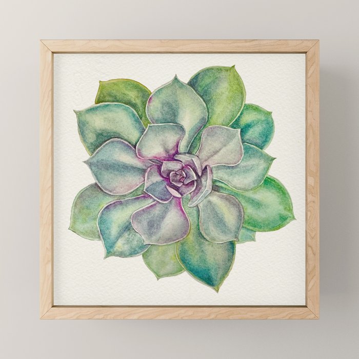 Succulents painted in watercolor Mini Art Print Gallery Image 1