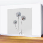 Dandelion 2 Wall Mural Gallery Image 2