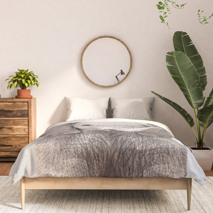 Baby Elephant - Colorful Comforter Gallery Image 3