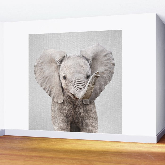 Baby Elephant - Colorful Wall Mural Gallery Image 2