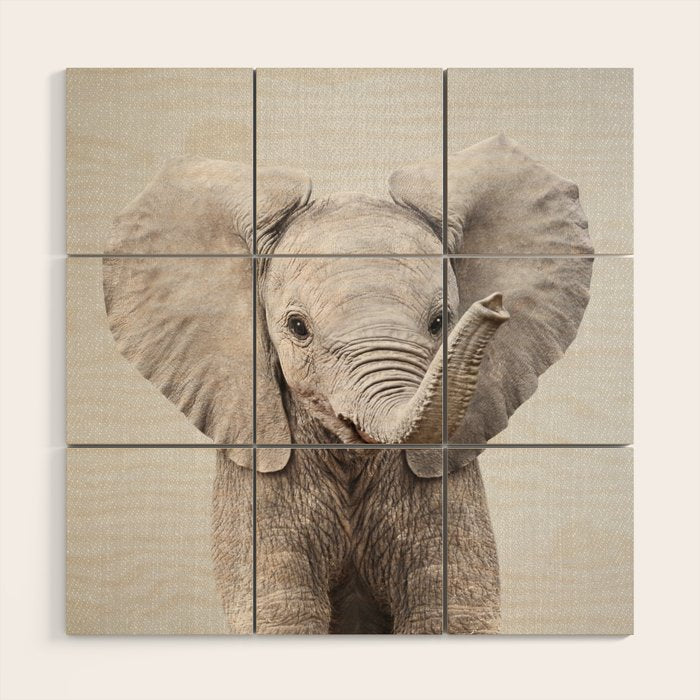 Baby Elephant - Colorful Wood Wall Art Gallery Image 1