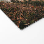 Oregon Coast IV Welcome Mat Gallery Image 2