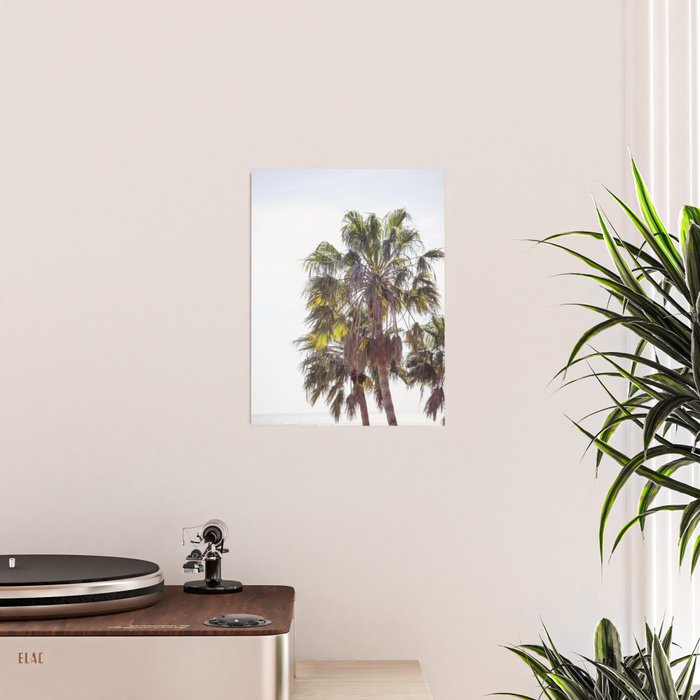 Malibu Palms x California Palm Trees Photography Poster Gallery Image 2