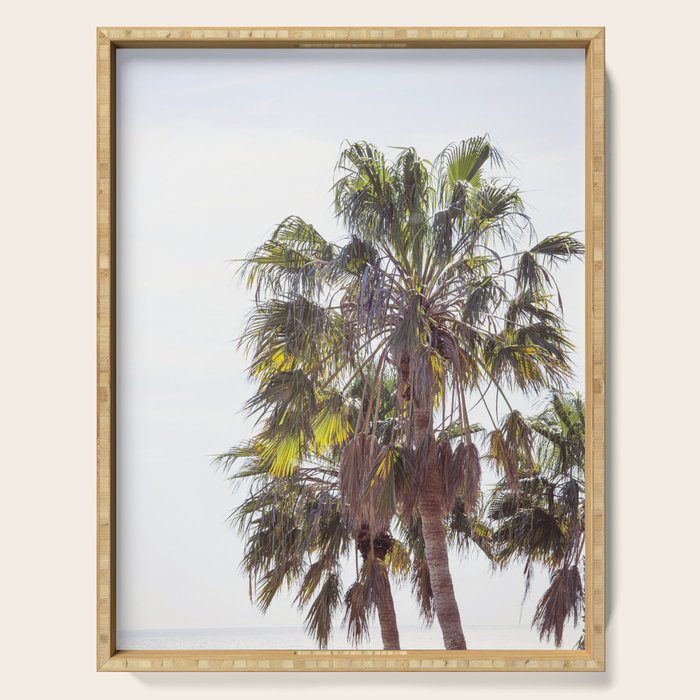 Malibu Palms x California Palm Trees Photography Serving Tray Gallery Image 1